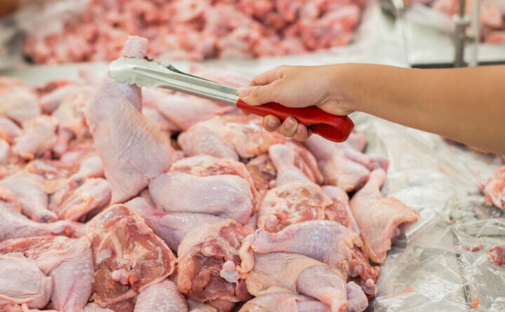 Tip’s Sehat, Memilih dan Mengolah Daging Ayam Broiler